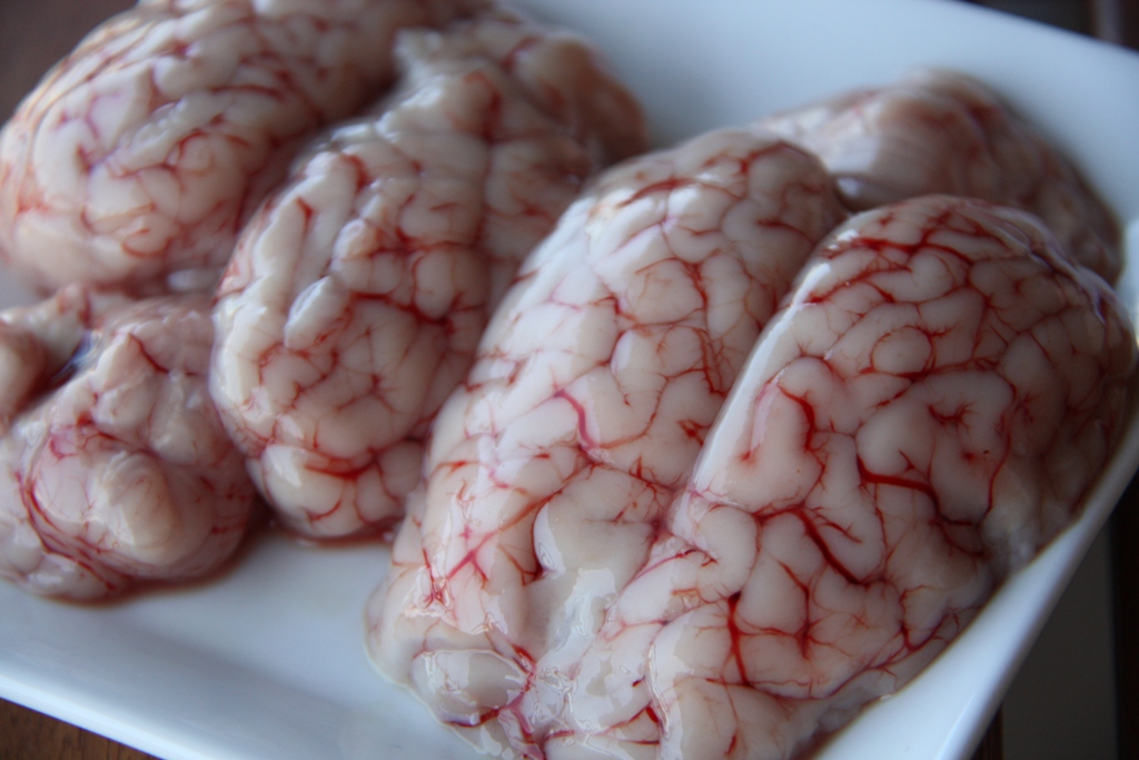 Brain as food - Wikipedia