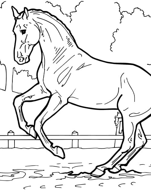 breyer coloring pages