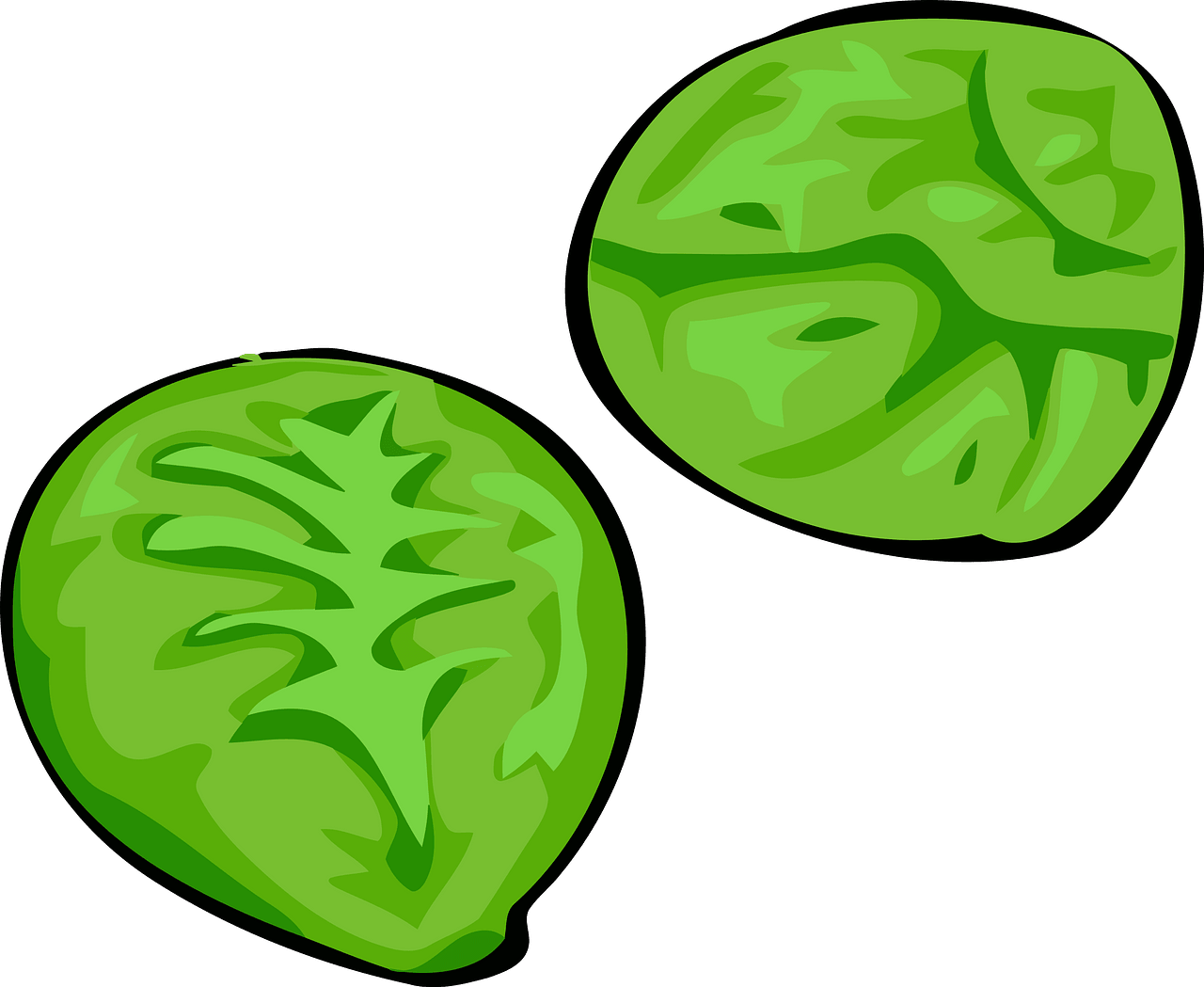 brussel sprout clipart