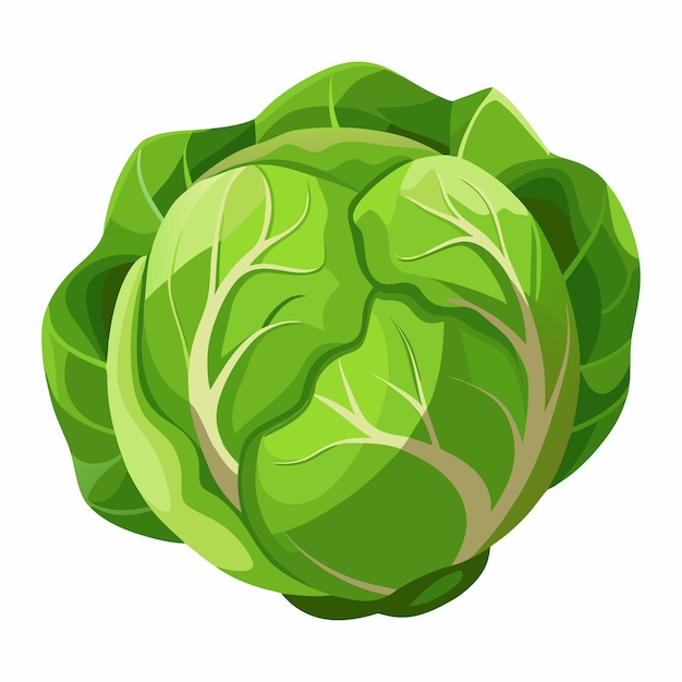 Brussel Sprout clipart vector illustration | Premium AI-generated ...