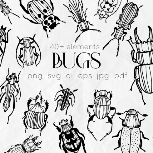 55+ Bug Clipart Images &amp; Illustrations for 2024 - MasterBundles