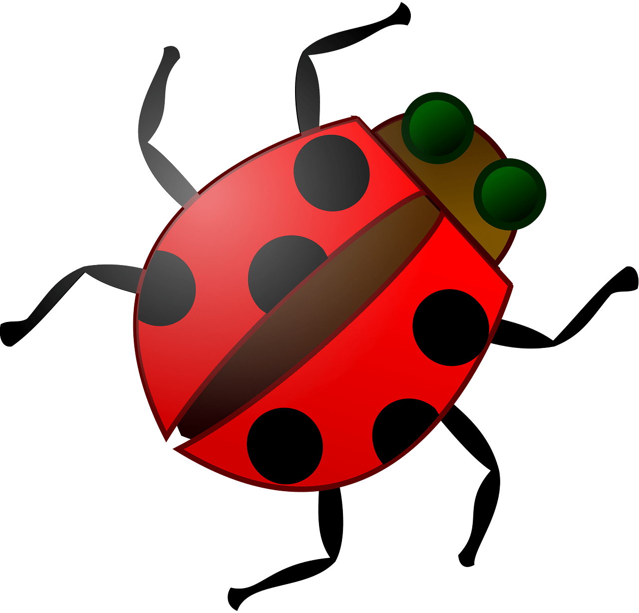 Insect - Free vector clipart images on clipart library.com