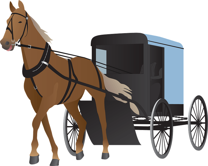 Amish Horse and Buggy - Free vector clipart images on clipart library.com