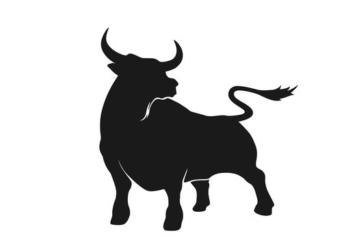 bull graphic