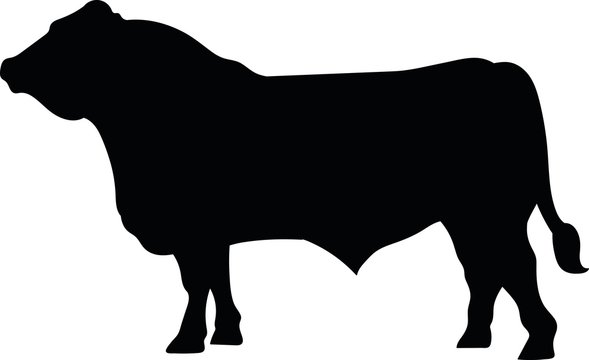 bull silhouette