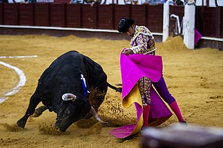 bullfighters