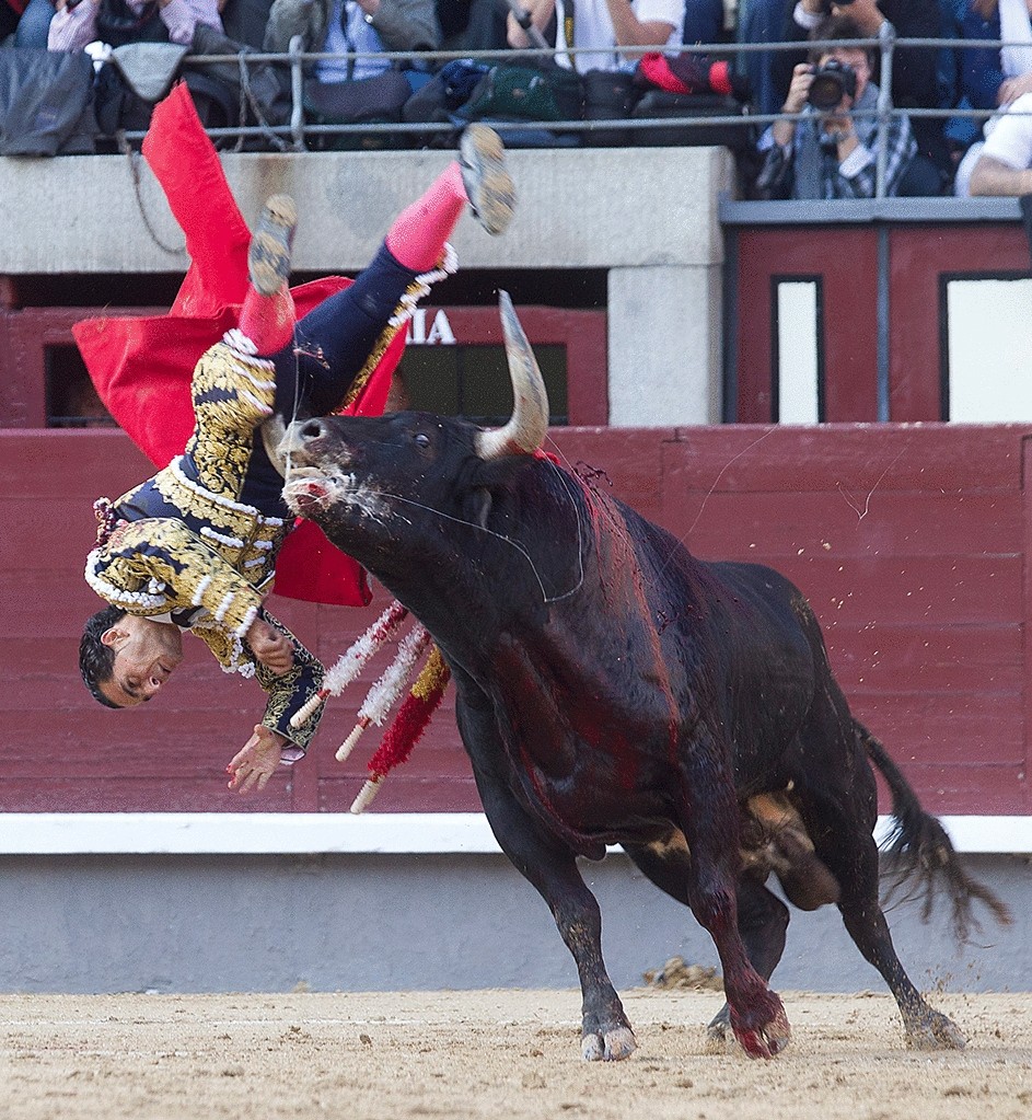 Eight-year analysis of bullfighting injuries in Spain, Portugal ...