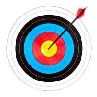 BULLSEYE | Bedeutung im Cambridge Englisch Wörterbuch