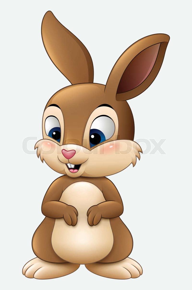 bunny cartoon images