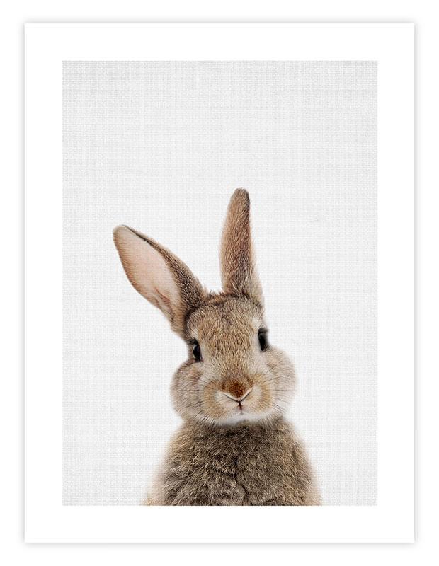 Woodland Bunny Rabbit Nursery Art Print | Pop Motif