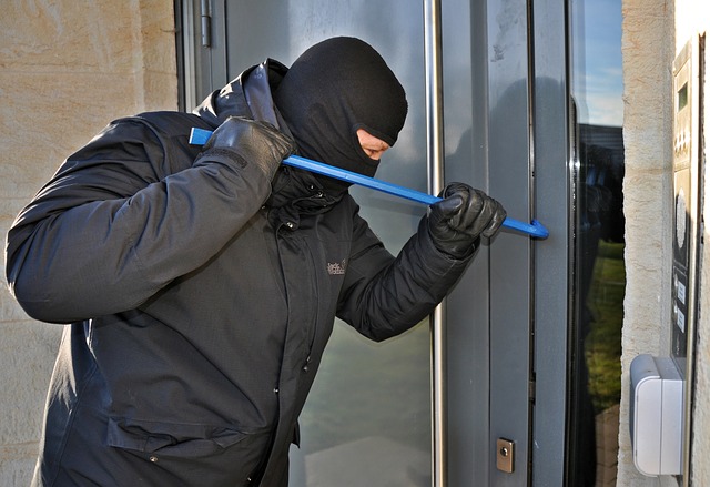 burglars