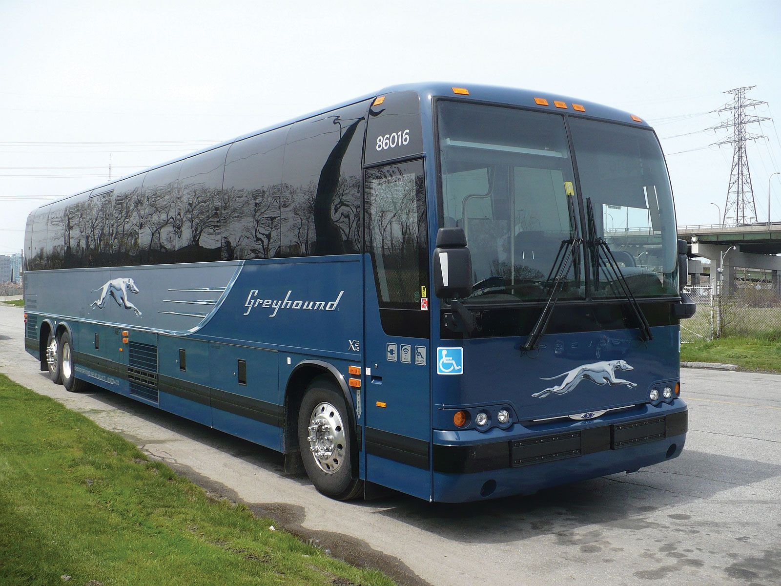 bus transportations