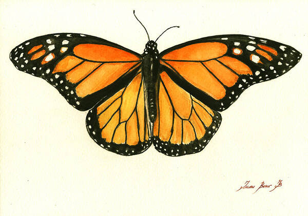 butterfly art images