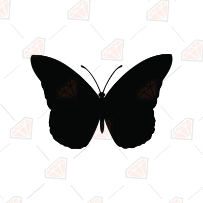 butterfly clipart black and white 2024