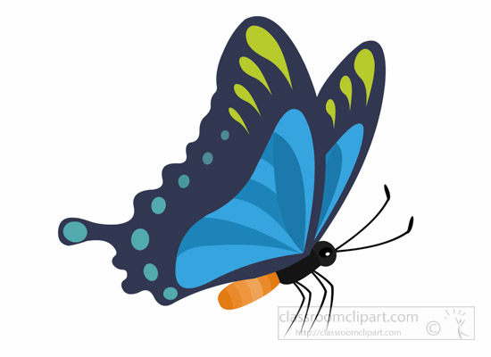 butterfly clipart_2023