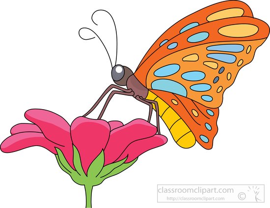 butterfly clipart_2023
