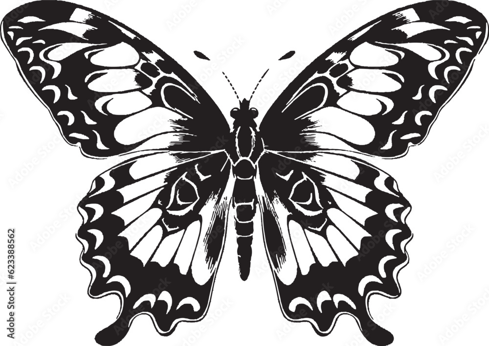 butterfly cliparts silhouette
