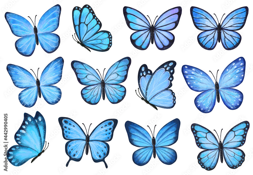 Stock-Illustration „Set of blue butterflies isolated on white ...