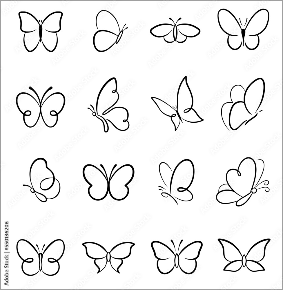 Poster, Wandbilder simple butterfly insect outline vector SVG line art,  40x40 cm