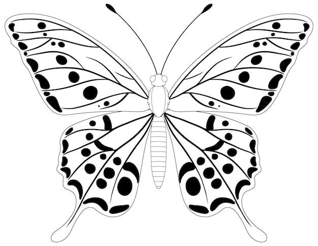 butterfly pictures black and white