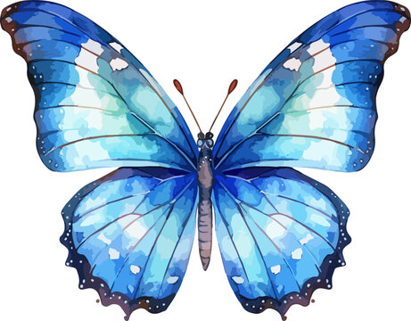 butterfly sketch cliparts 2024