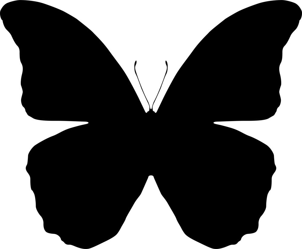butterfly vector free download