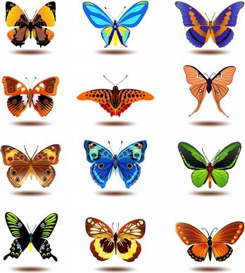 butterfly vector free download