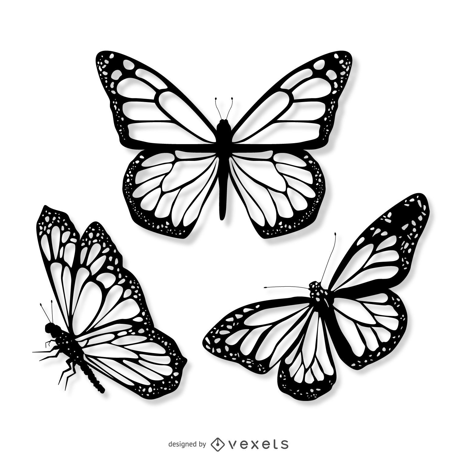 butterfly vectors