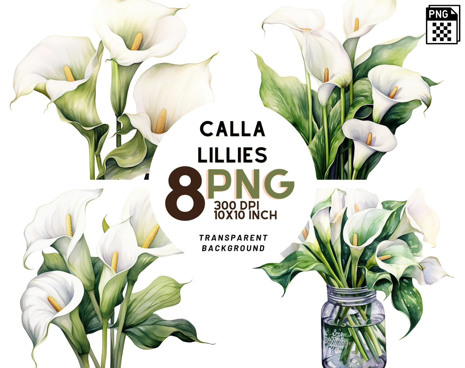 calla lily clipart