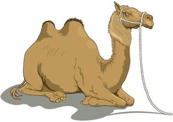 camel cliparts