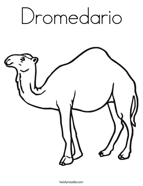 Dromedario Coloring Page - Twisty Noodle