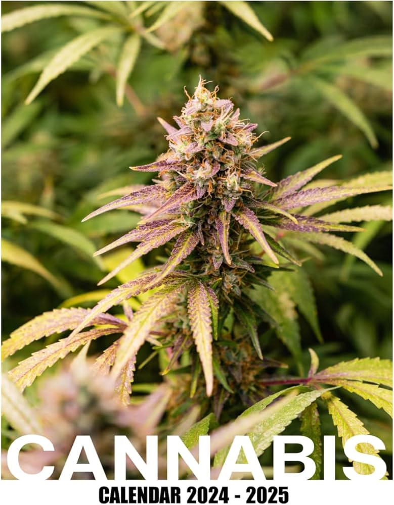 cannabis cliparts 2024