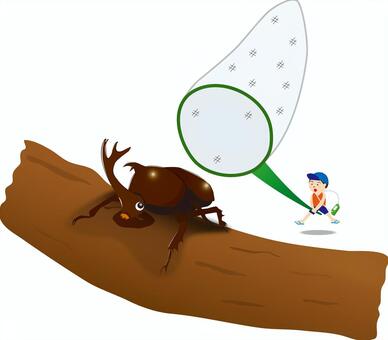 Free Vectors | Beetle capture
