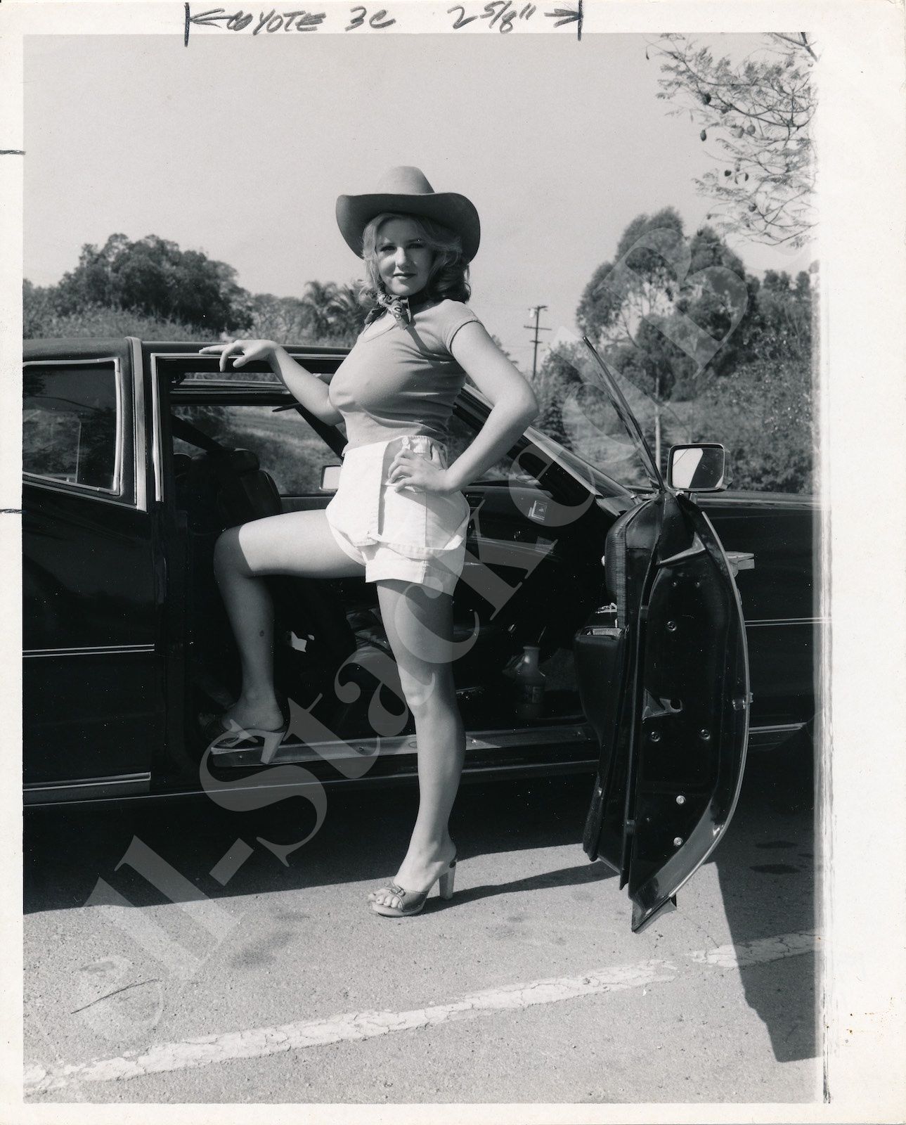 car cowgirls