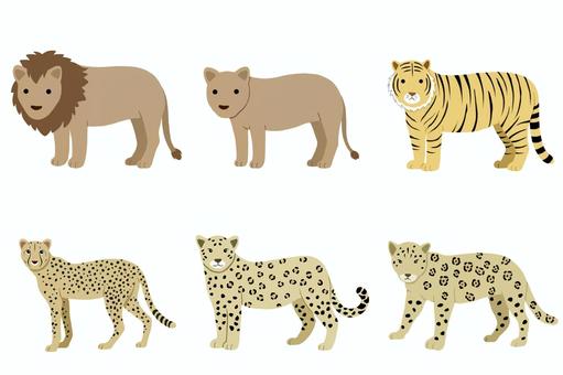 Free Vectors | large carnivore set