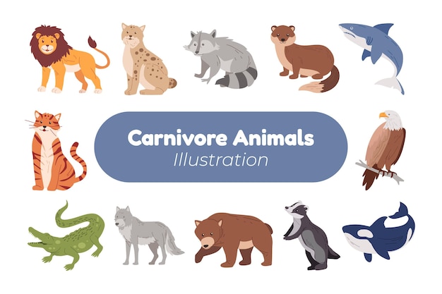 Premium Vector | Carnivore animal vector illustration design