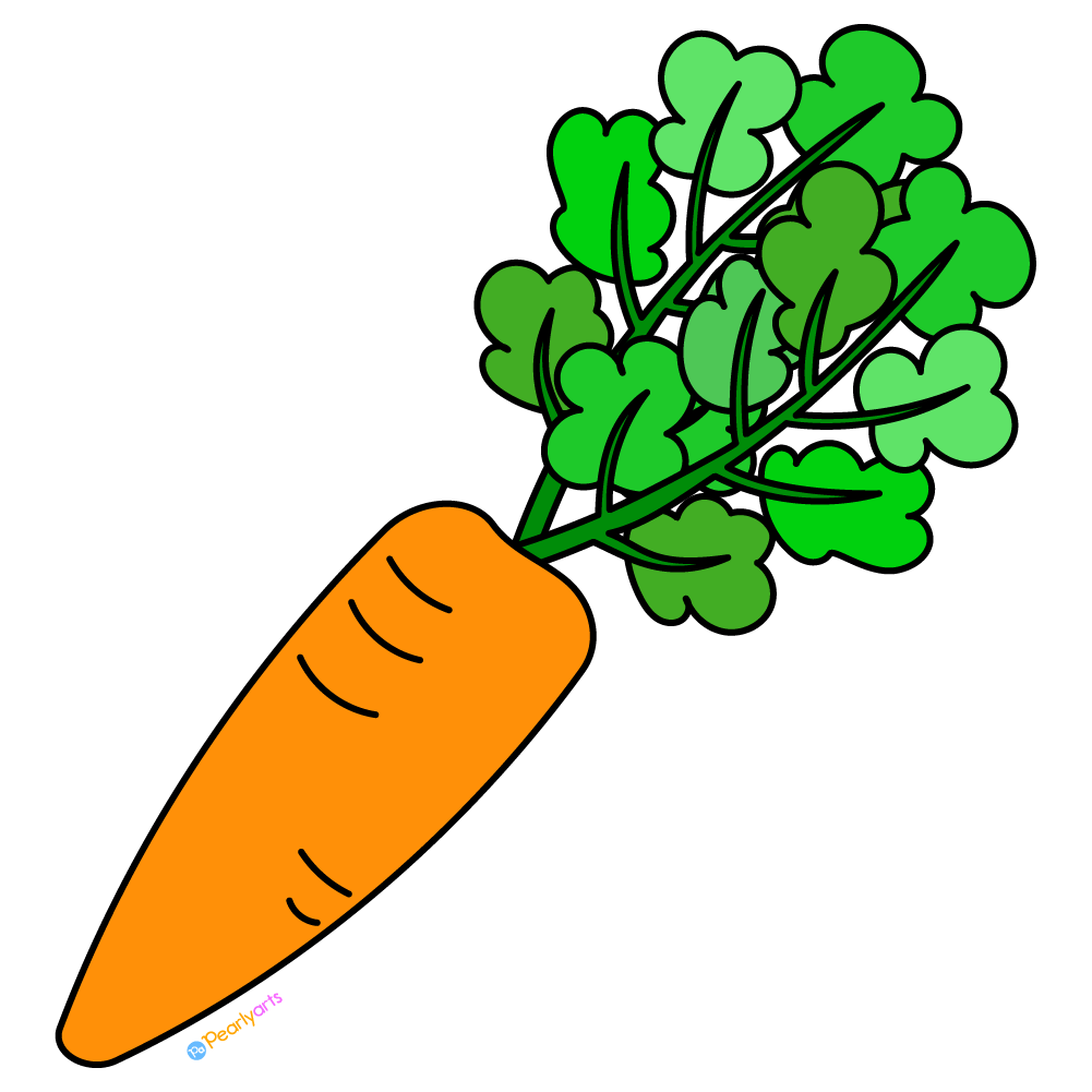 carrot clipart 2024