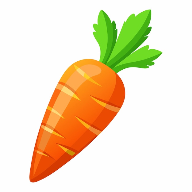carrot clipart 2024