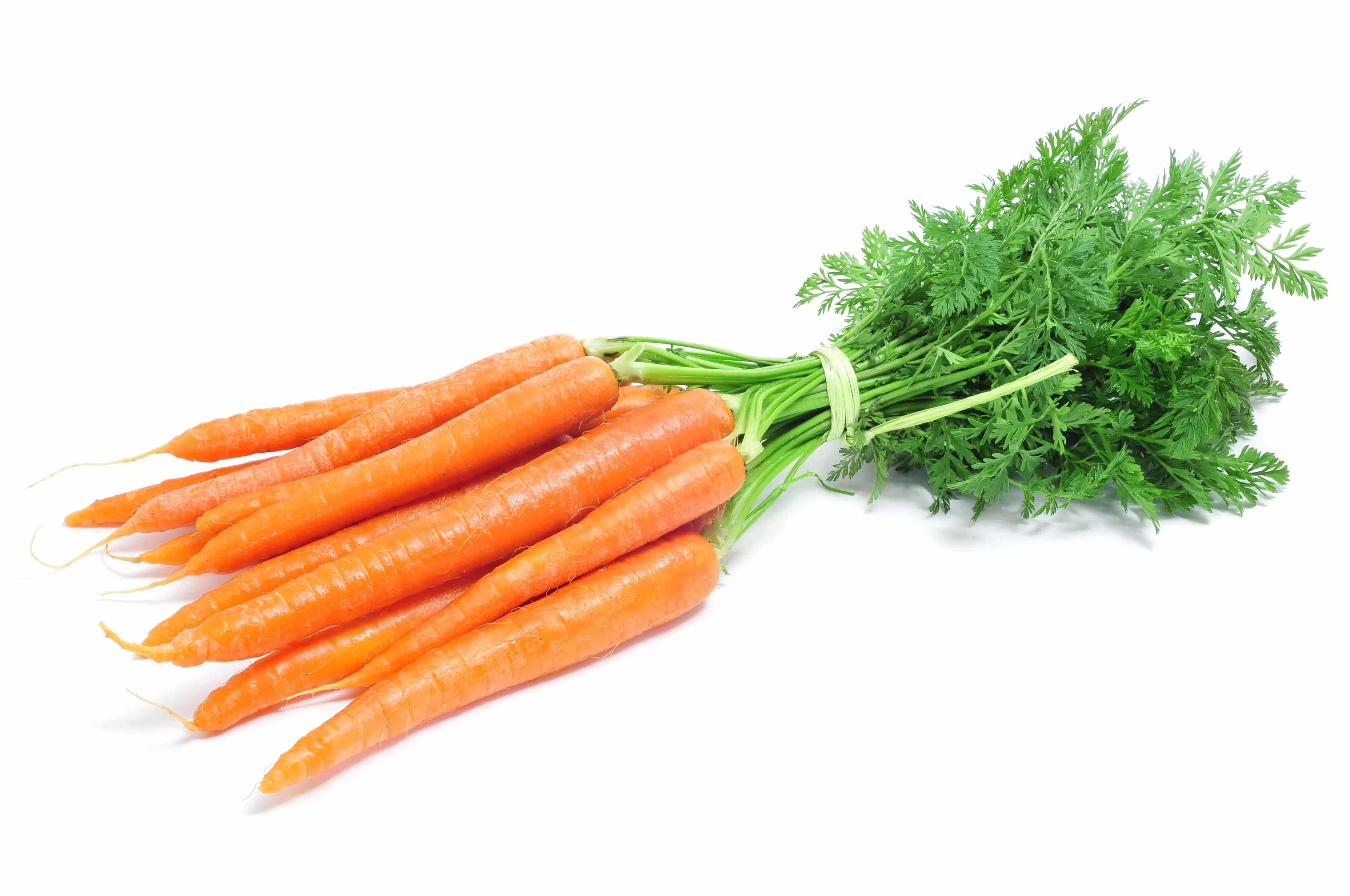 Carrots - Bunch