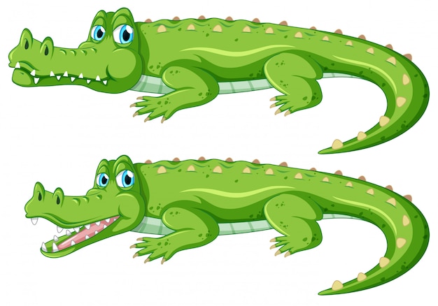 Alligator Cartoon Images - Free Download on clipart library