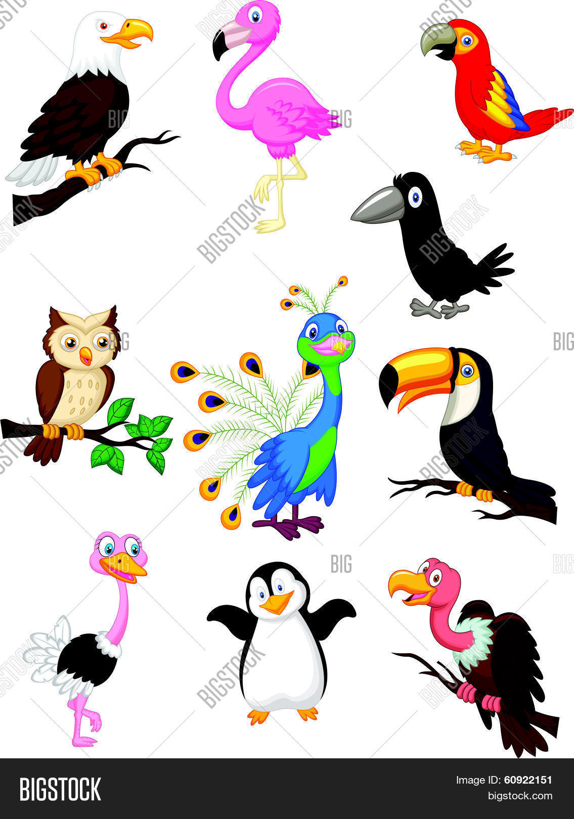cartoon birds pictures