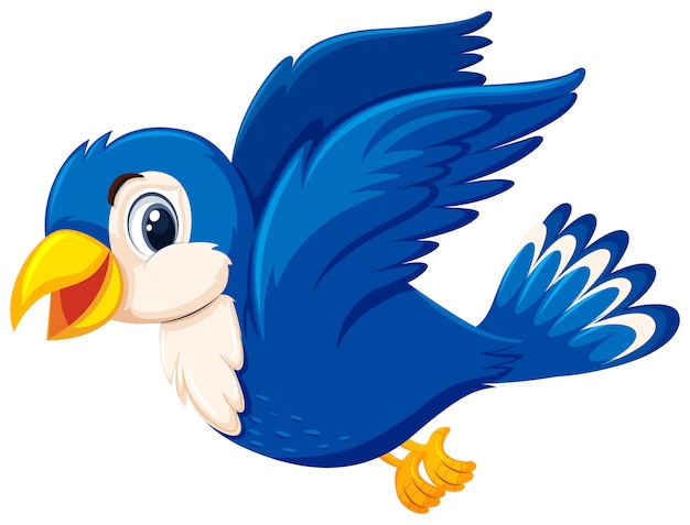 cartoon birds pictures