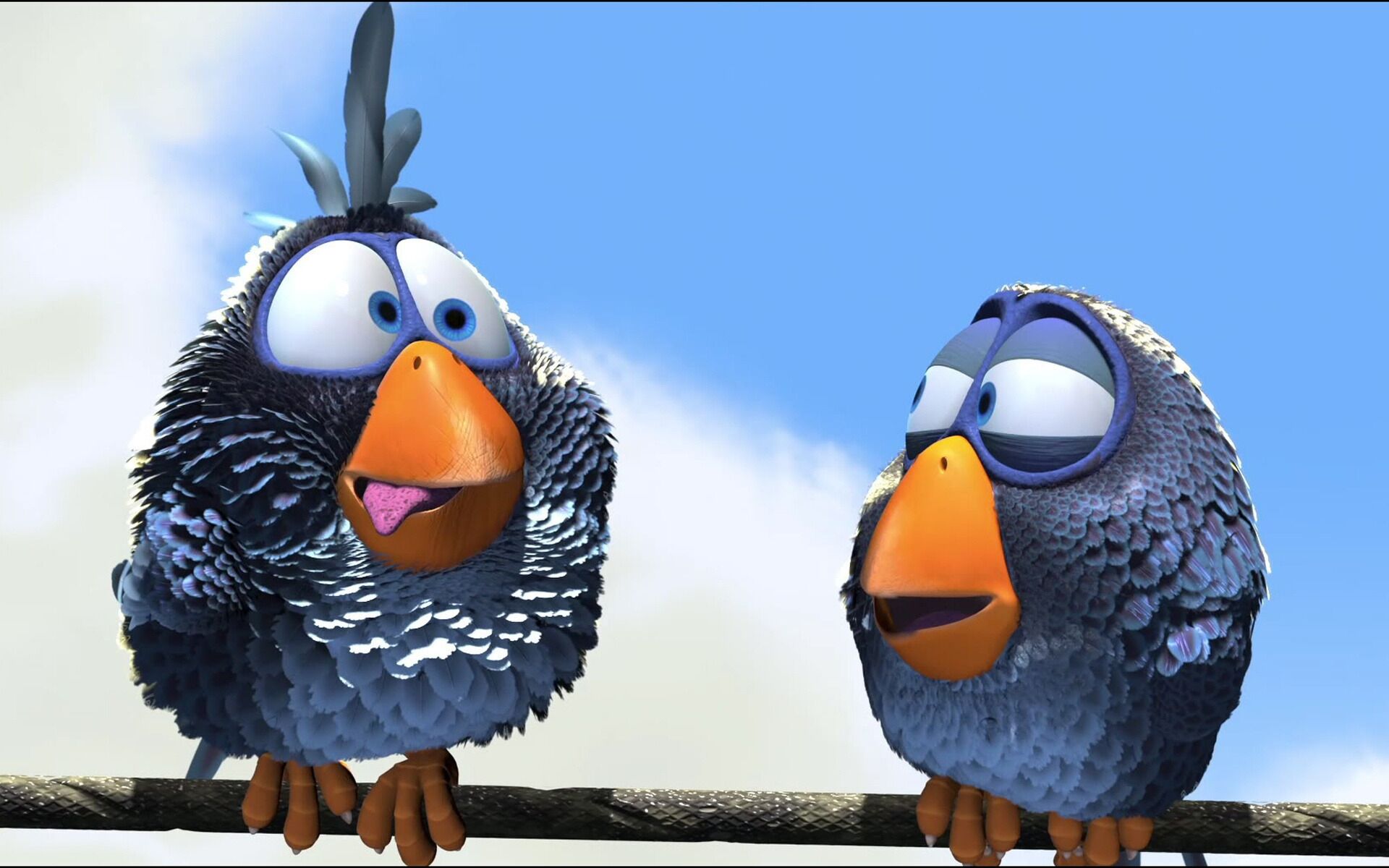 cartoon birds