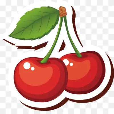Cartoon Cherries Isolated On White Background Stock Vector ...
