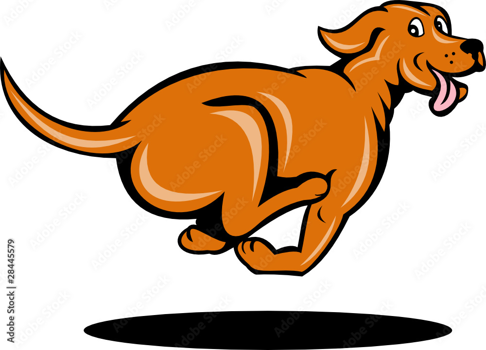 cartoon dog running side view Stock-Vektorgrafik | Adobe Stock