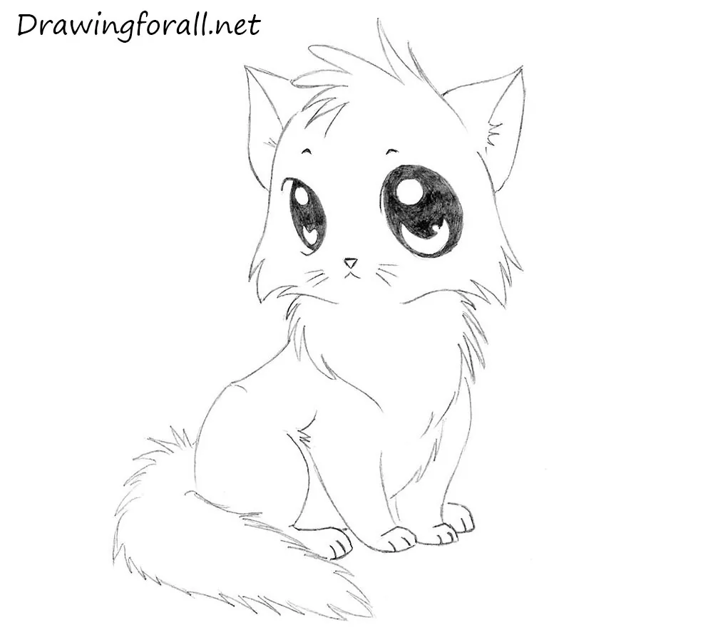 cartoon drawings of cats