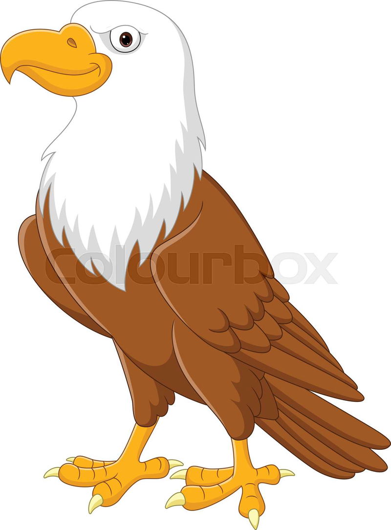 Vector illustration of Cartoon eagle flying on white backgro ...