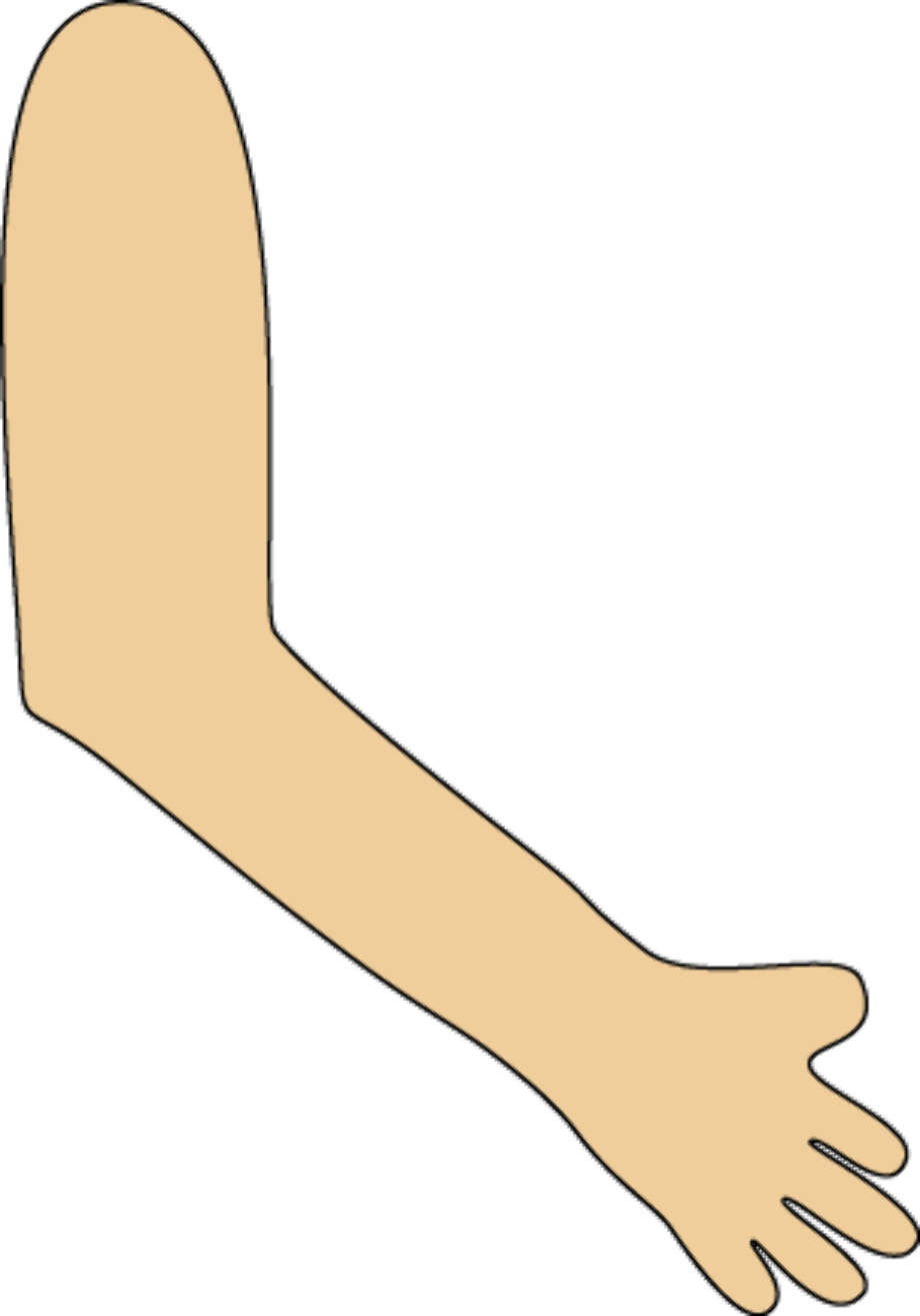 cartoon forearms