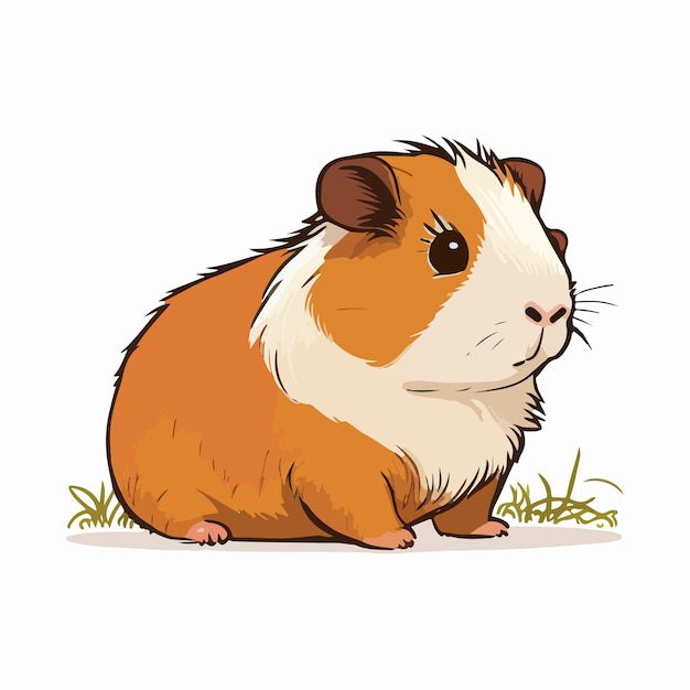cartoon guinea pig