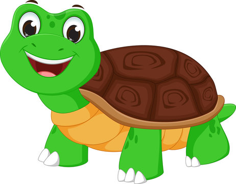 cartoon images of turtles